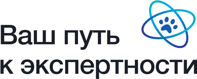 AVC Academy